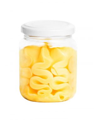 tarrito sorbete mango